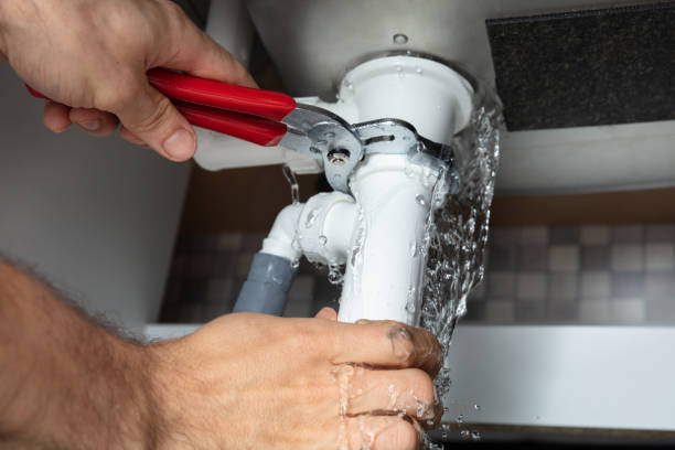Best Professional water damage repair  in Oxford, MI