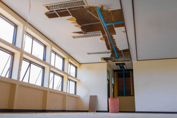 Best Water damage contractors near me  in Oxford, MI