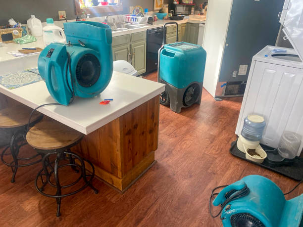 Best Local water damage restoration  in Oxford, MI