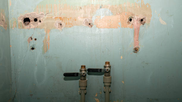 Best Basement water damage restoration  in Oxford, MI