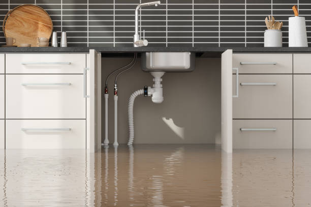 Best 24-hour water damage restoration  in Oxford, MI