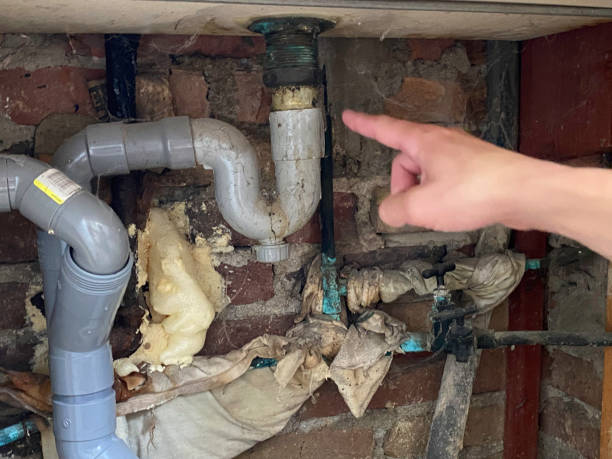 Best Emergency water extraction  in Oxford, MI