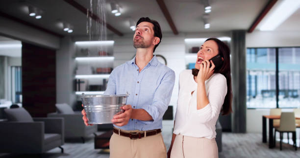 Best Water damage cleanup near me  in Oxford, MI